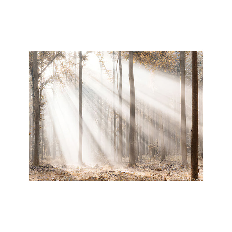 Natural Landscape Wall Art