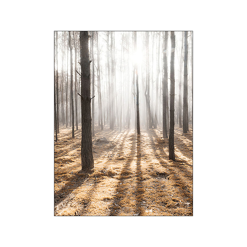 Natural Landscape Wall Art