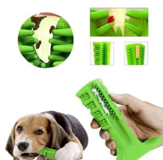 Pet Teether Toothbrush - Bazaare Mart