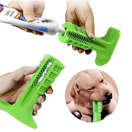 Pet Teether Toothbrush - Bazaare Mart