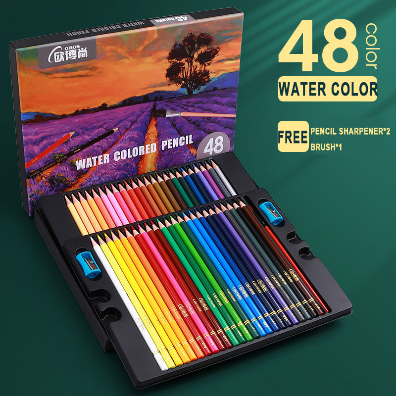 Artist Pencil Sets