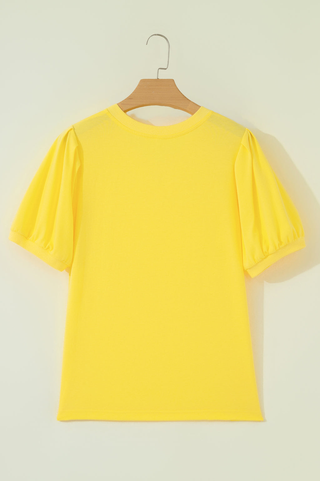 Women Puff Sleeve V-Neck Top