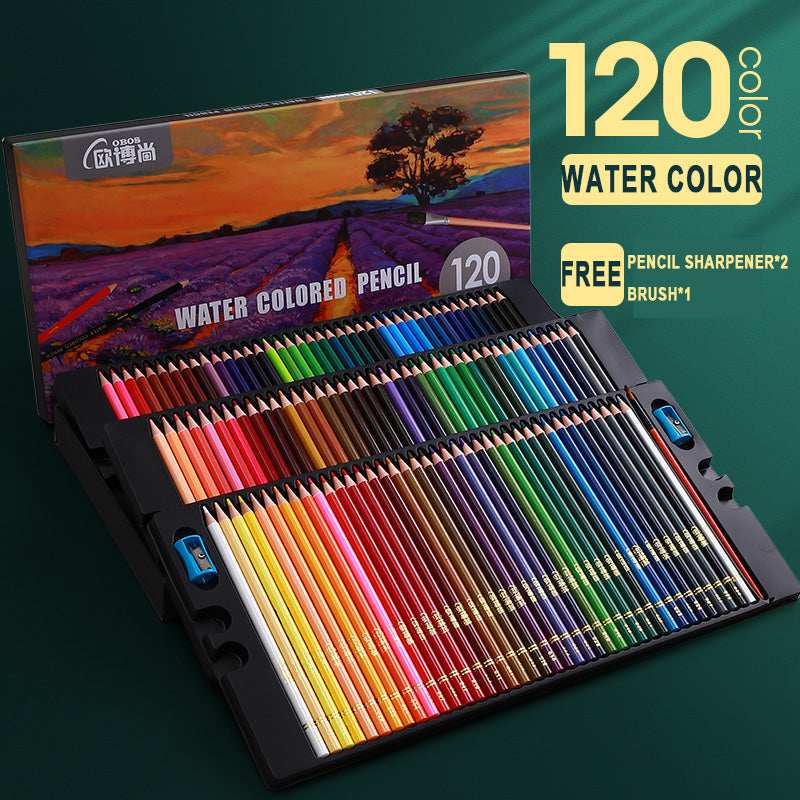 Artist Pencil Sets