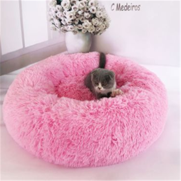 Winter Cat Nest