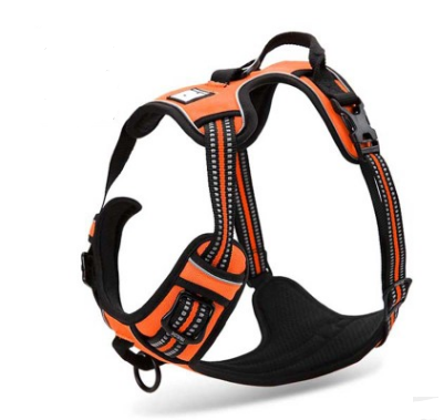 Orange Big Dog Adjustable, Reflective Harness