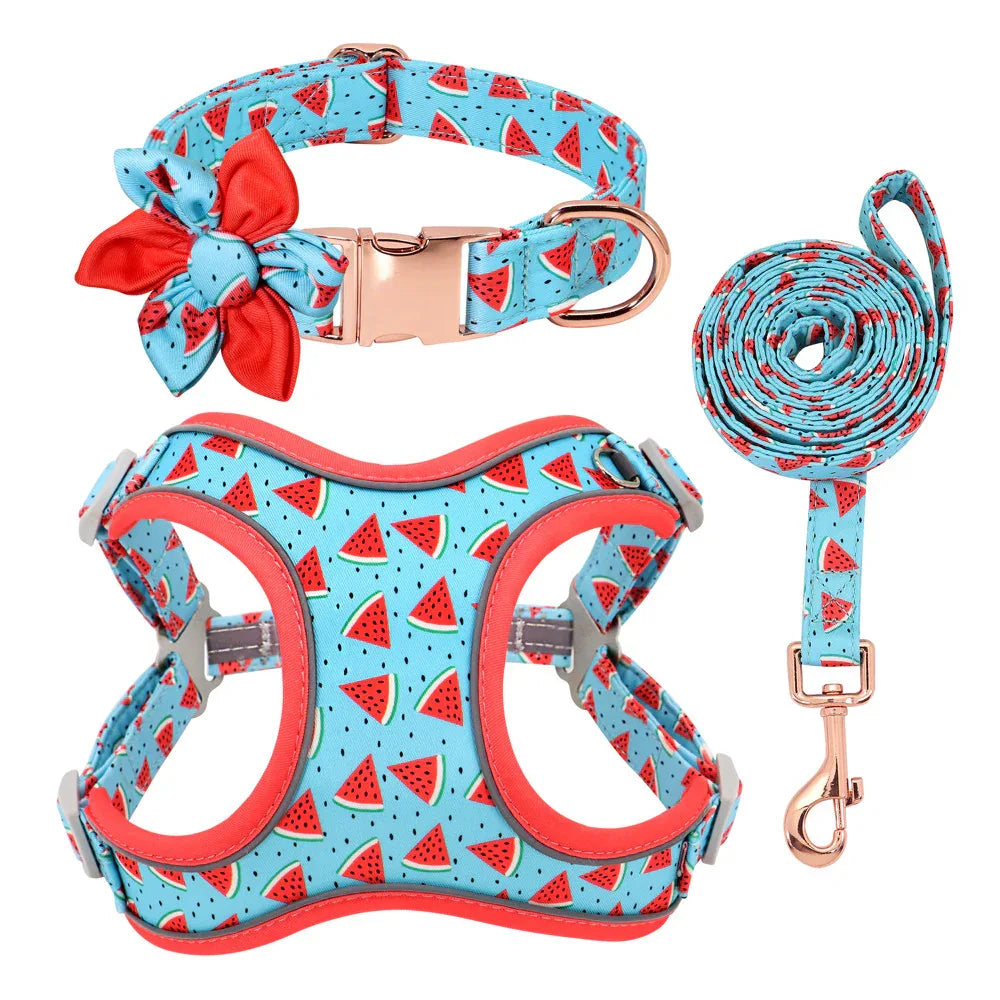 Small Dog Custom Collar & Leash Set Blue CJ Dropshipping Dog Leash