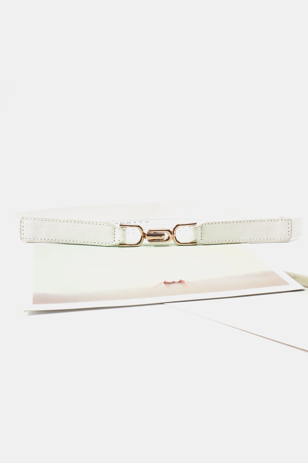 Gold Buckle Elastic Belt