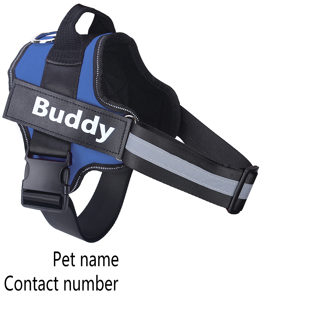Blue Reflective Breathable Adjustable Dog Harness with Removable Name Tag