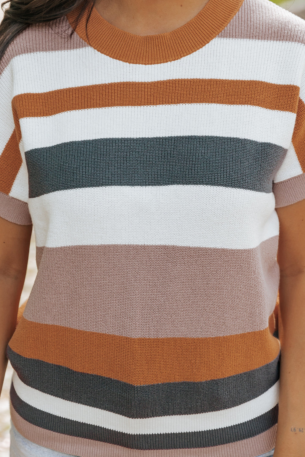 Taupe Classic Round Neck Colorblock Knit Sweater