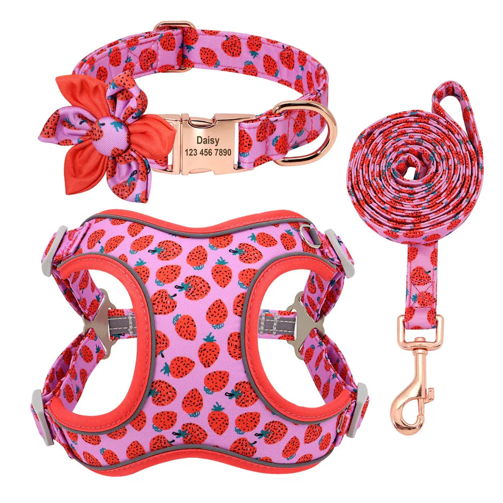 Small Dog Custom Collar & Leash Set CJ Dropshipping Dog Leash