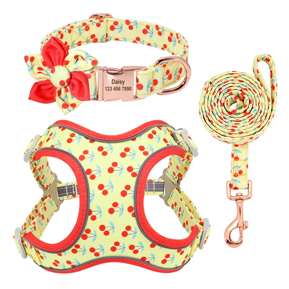 Small Dog Custom Collar & Leash Set CJ Dropshipping Dog Leash