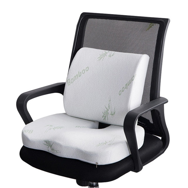 Orthopedics Seat Cushion - Bazaare Mart