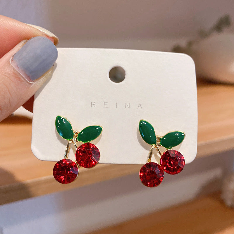 Personality Tassel and Stud Earrings