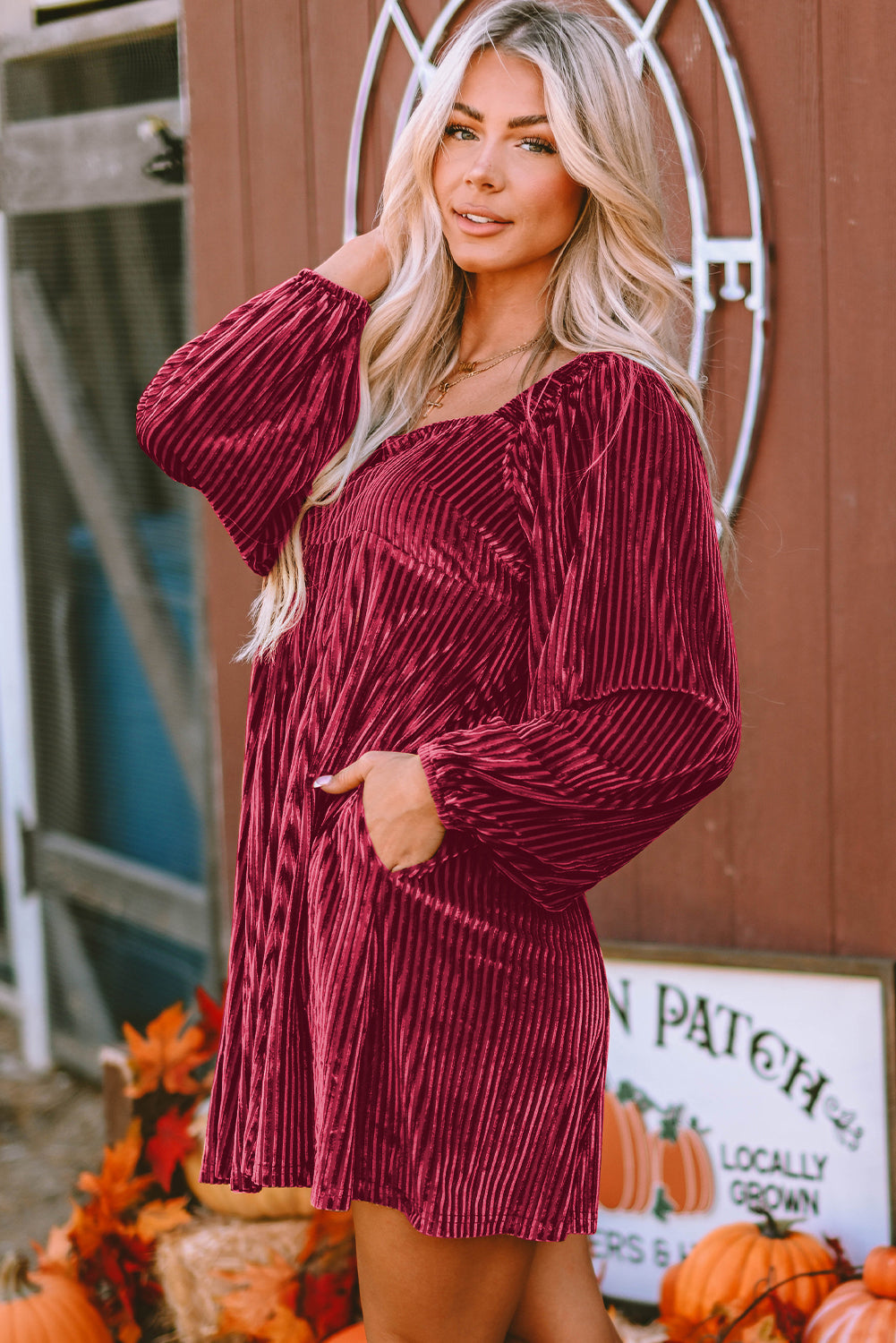 Pink Velvet Long Sleeve Peasant Top