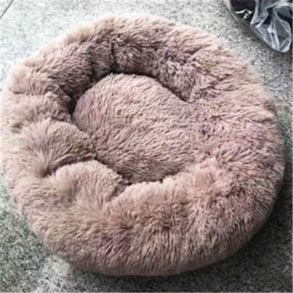 Winter Cat Nest