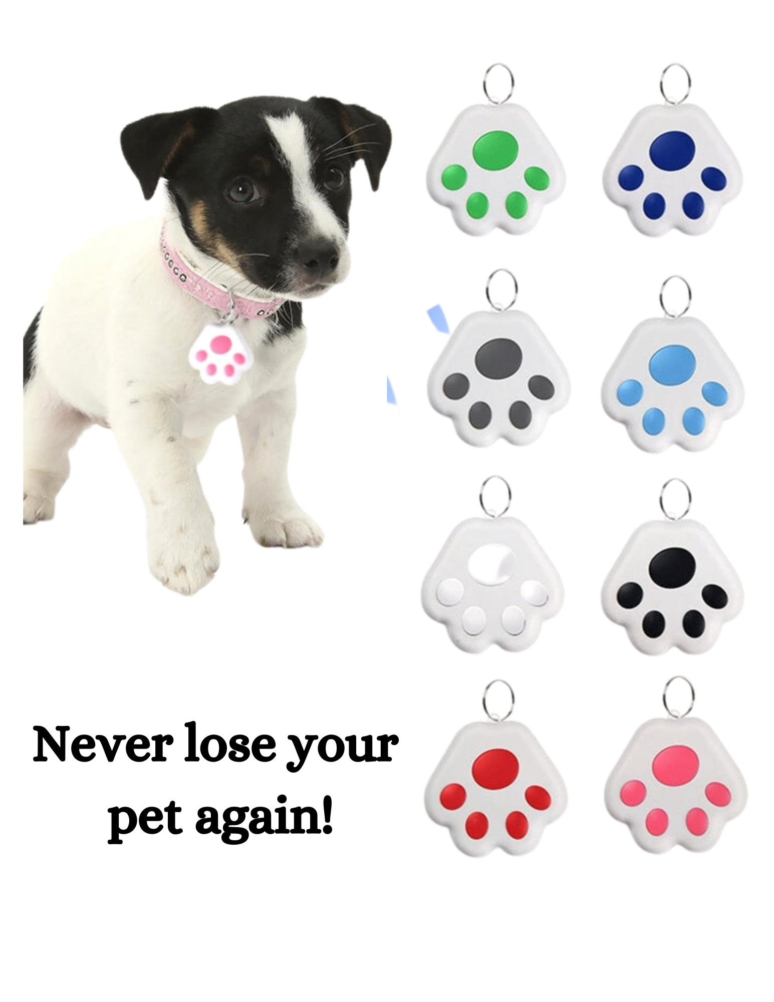 Paw Anti-Lost Device - Bazaare Mart