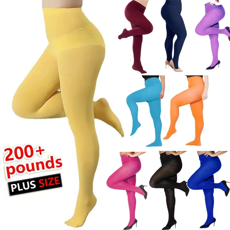 Nine Colors of Plus Size Tights For Women 