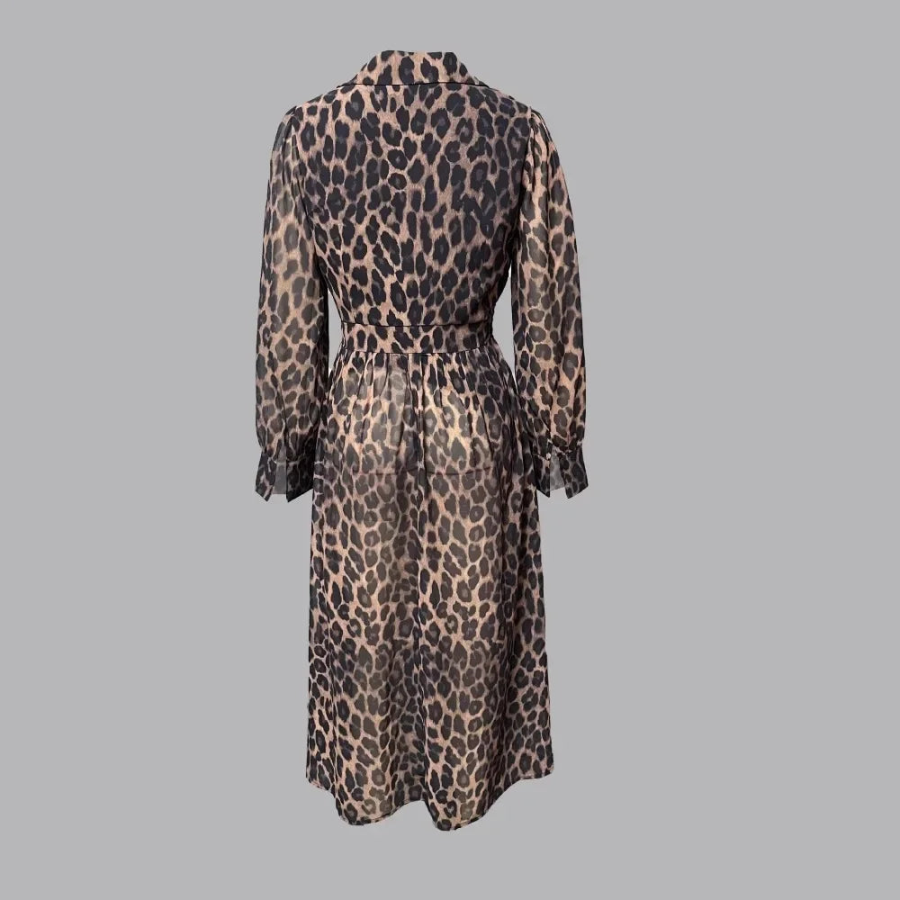 Sheer Leopard Print Elegant Flowy Long Sleeve V-Neck Dress