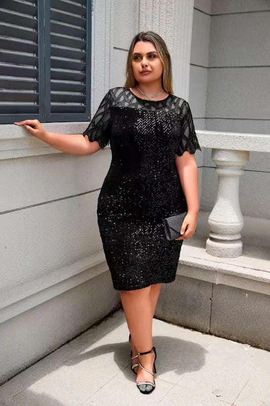 Sequin Lacy  Mesh Party Dress