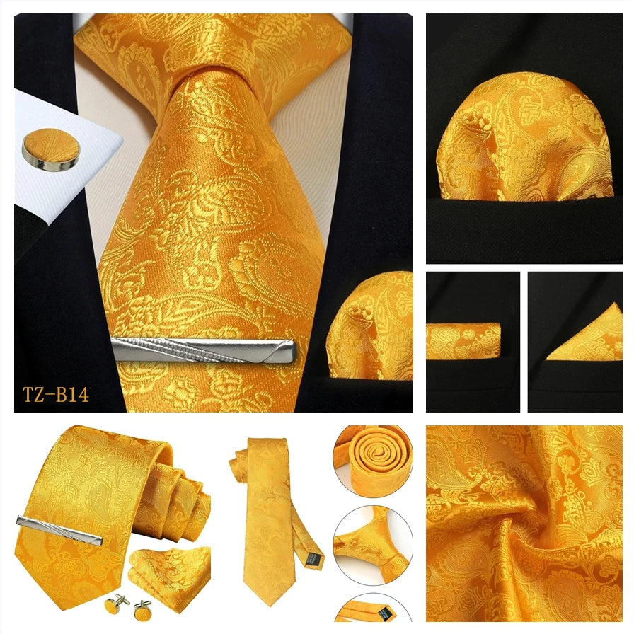 Silk Paisley 4pc Necktie Set