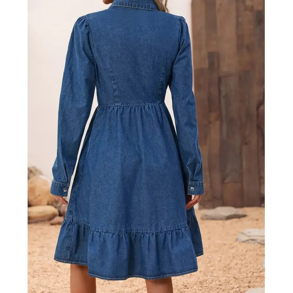 Denim Long Sleeve Button Up Shirt Dress