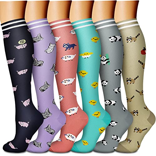 Knee High 6pk Compression Socks