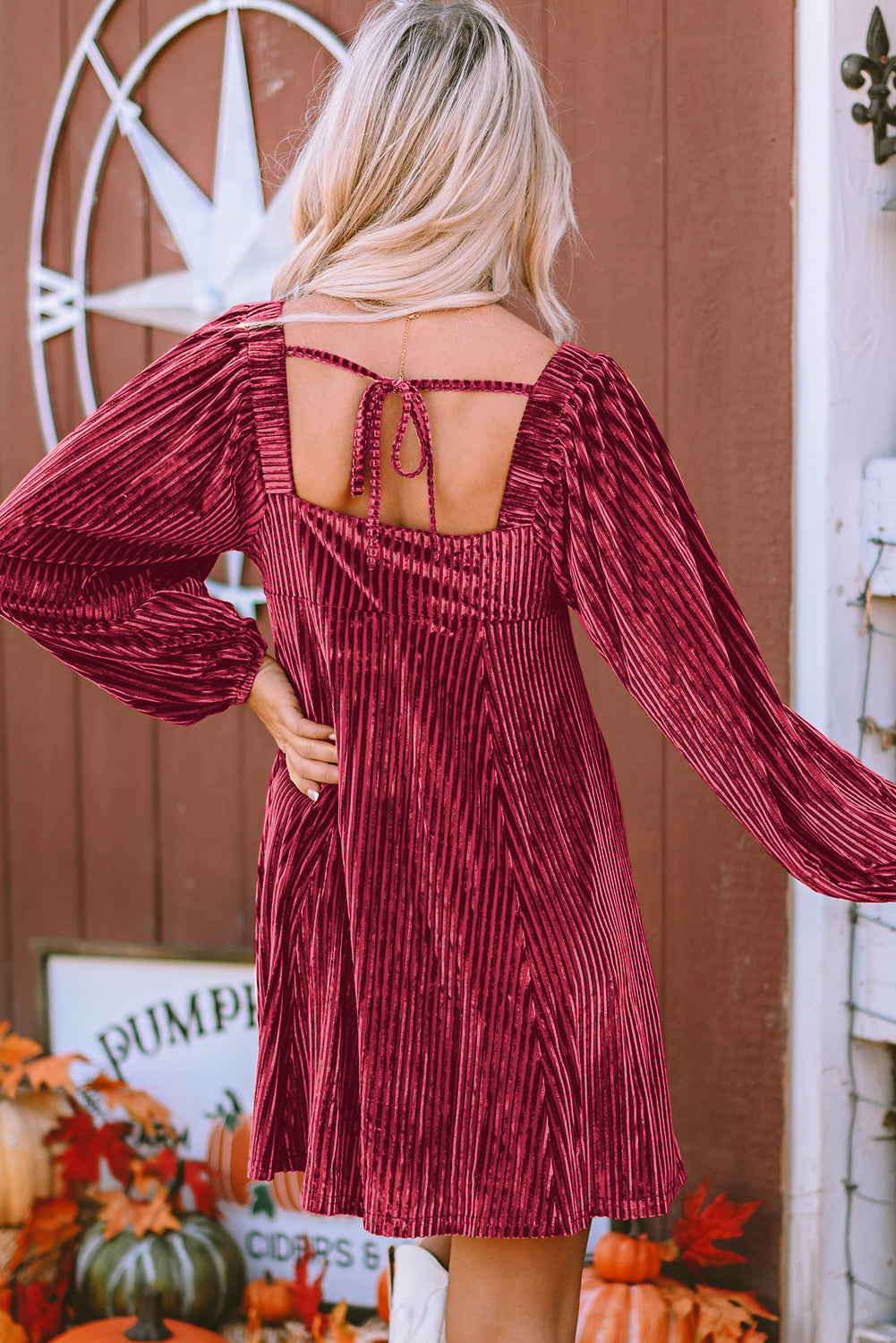 Pink Velvet Long Sleeve Peasant Top