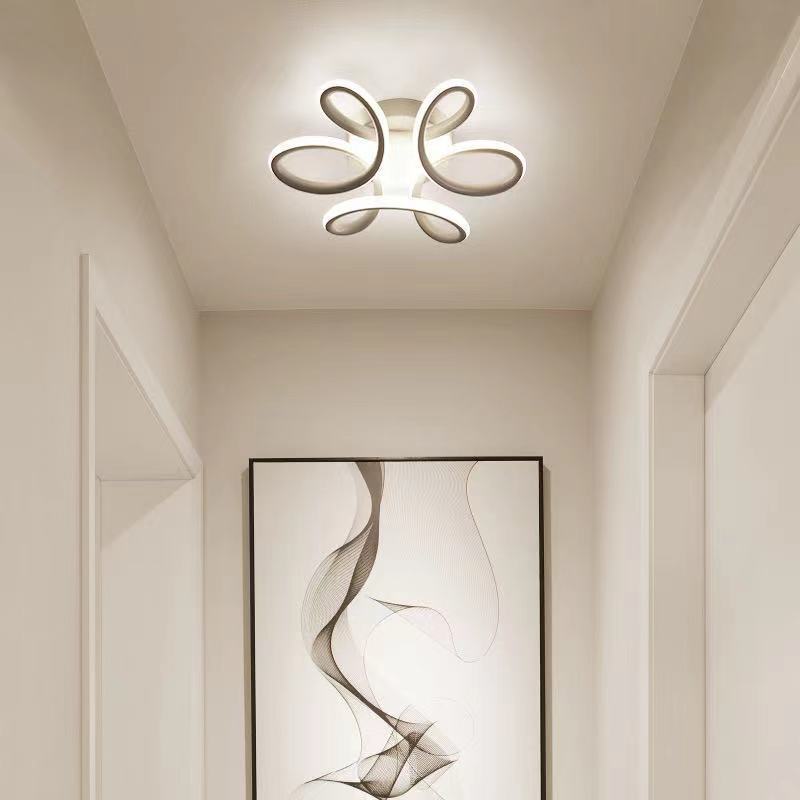 Led Ceiling Light