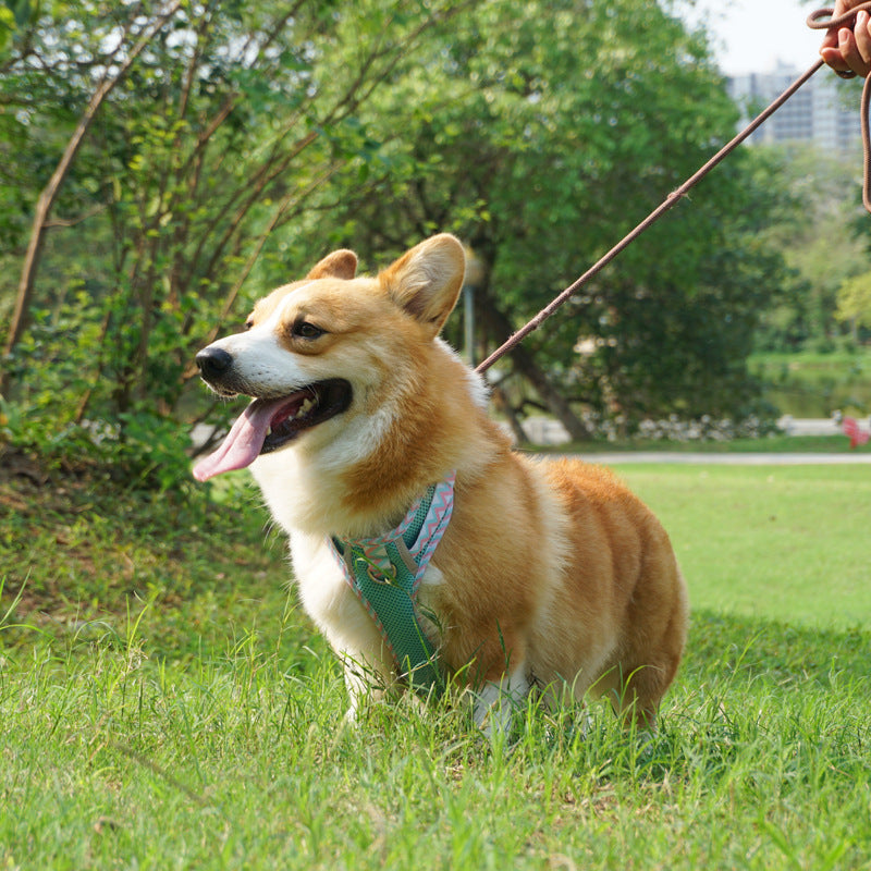 Reflective Dog Harness
