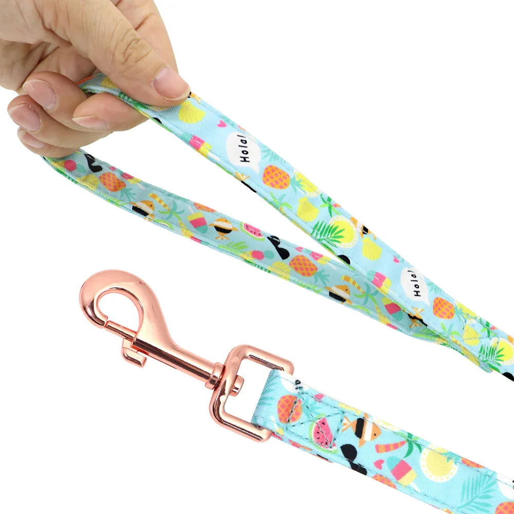Small Dog Custom Collar & Leash Set CJ Dropshipping Dog Leash