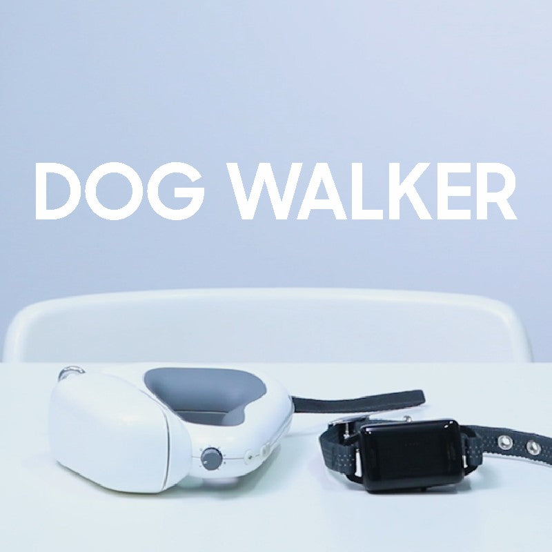 Retractable Dog Leash