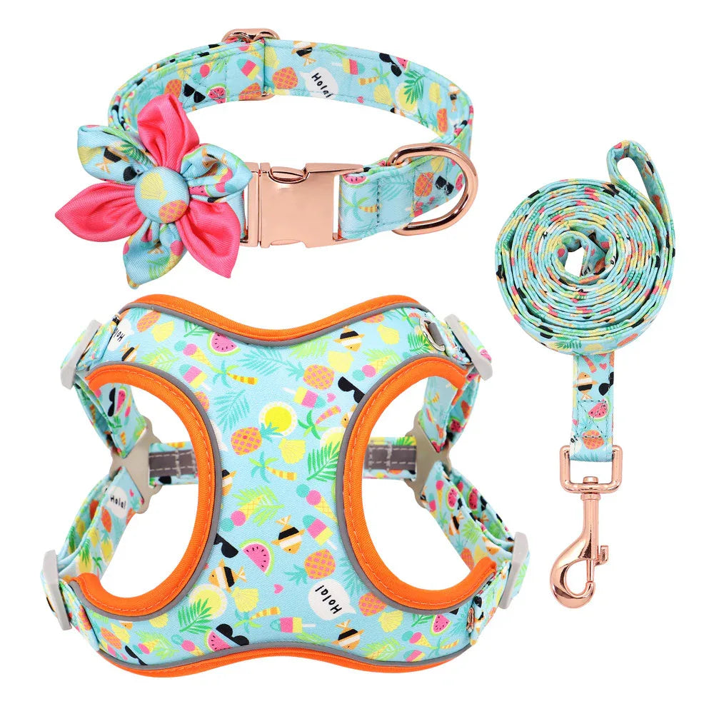 Small Dog Custom Collar & Leash Set Green CJ Dropshipping Dog Leash