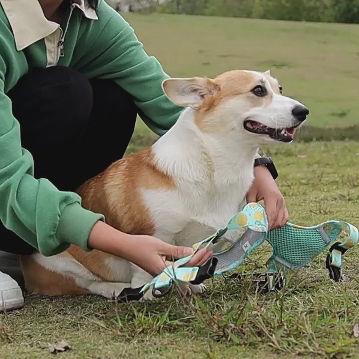 Reflective Dog Harness Video