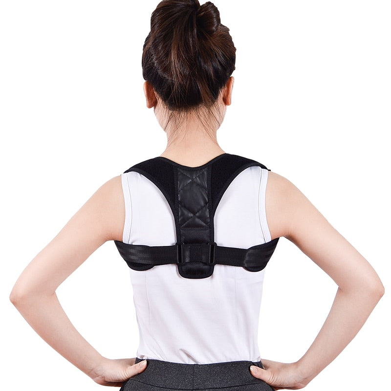 Back Support Belt