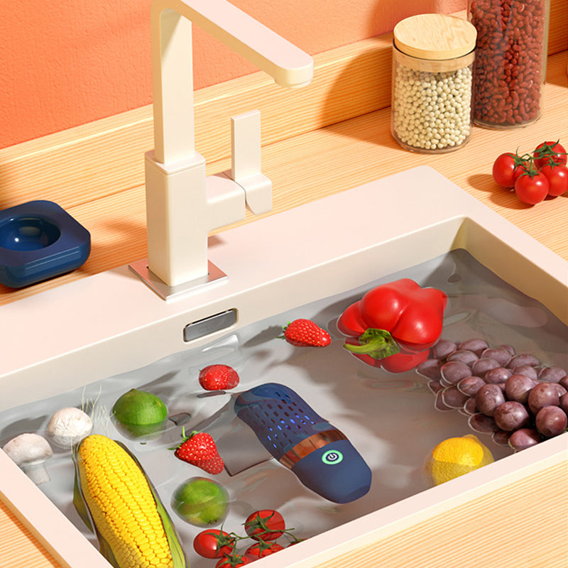 Vegetable Disinfection Machine - Bazaare Mart
