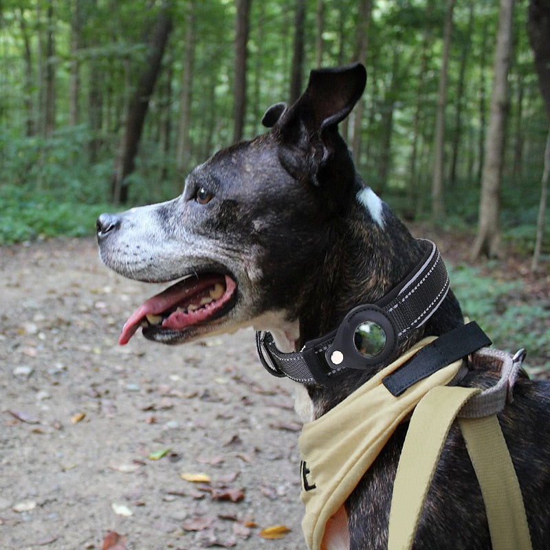 AirTag Tracker Dog Collar