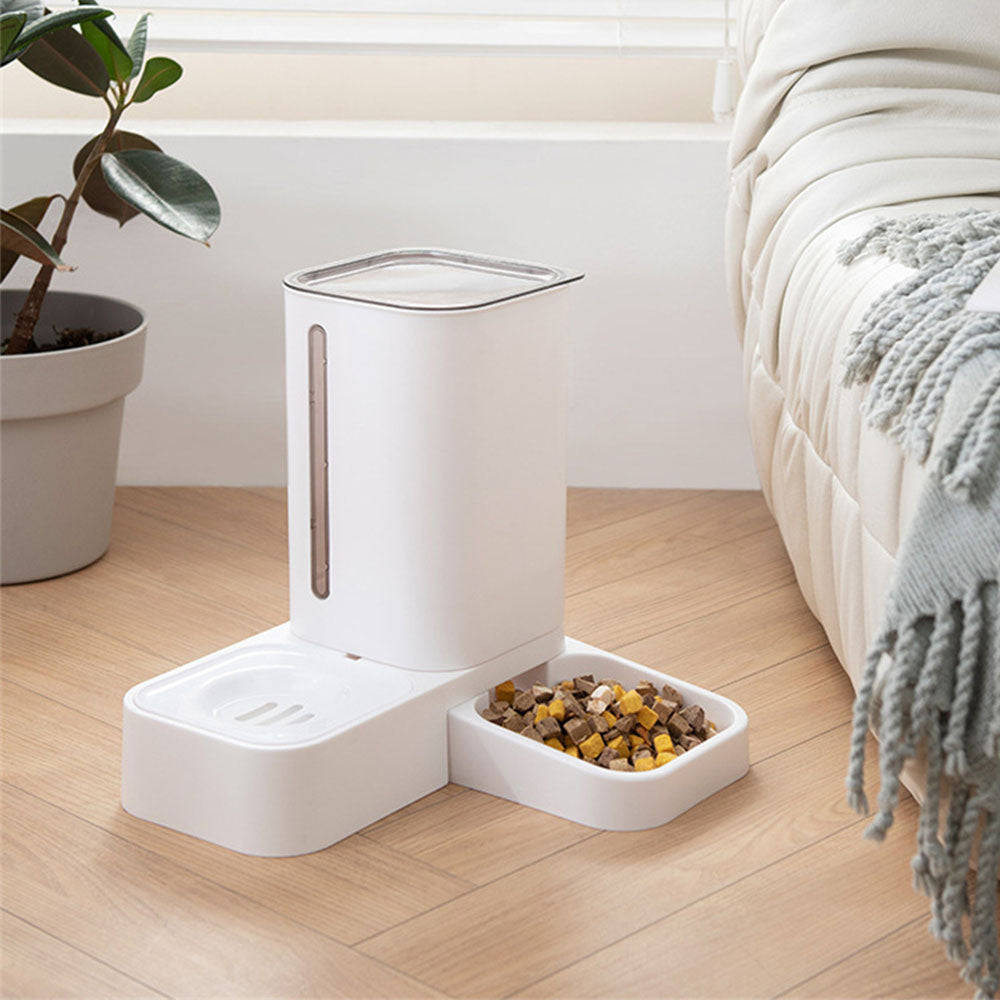 Cat Automatic Feeder - Bazaare Mart