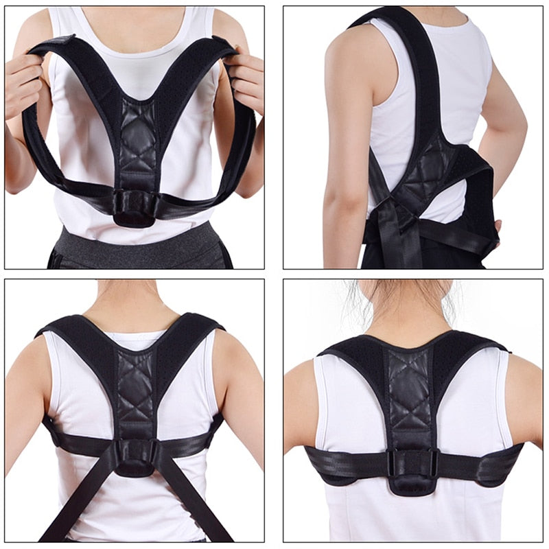 Back Support Belt