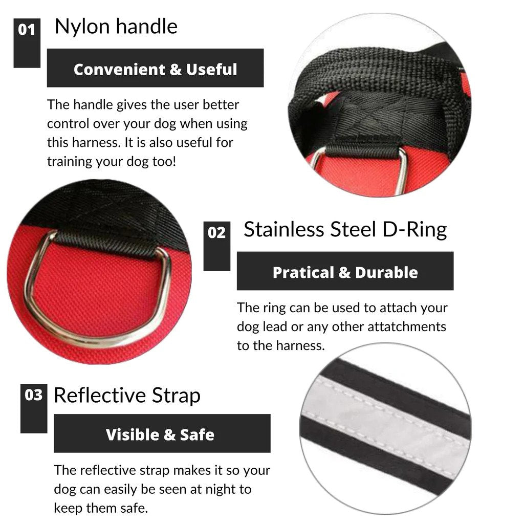 Dog Harness - Bazaare Mart