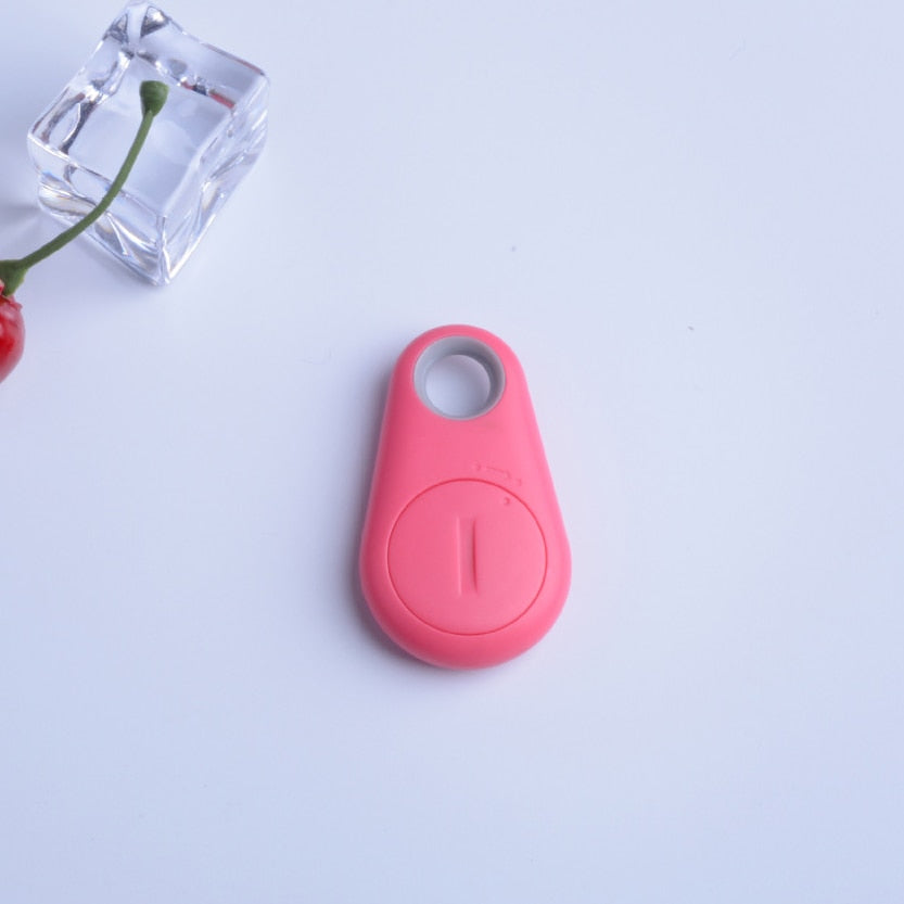 Paw Anti-Lost Device - Bazaare Mart