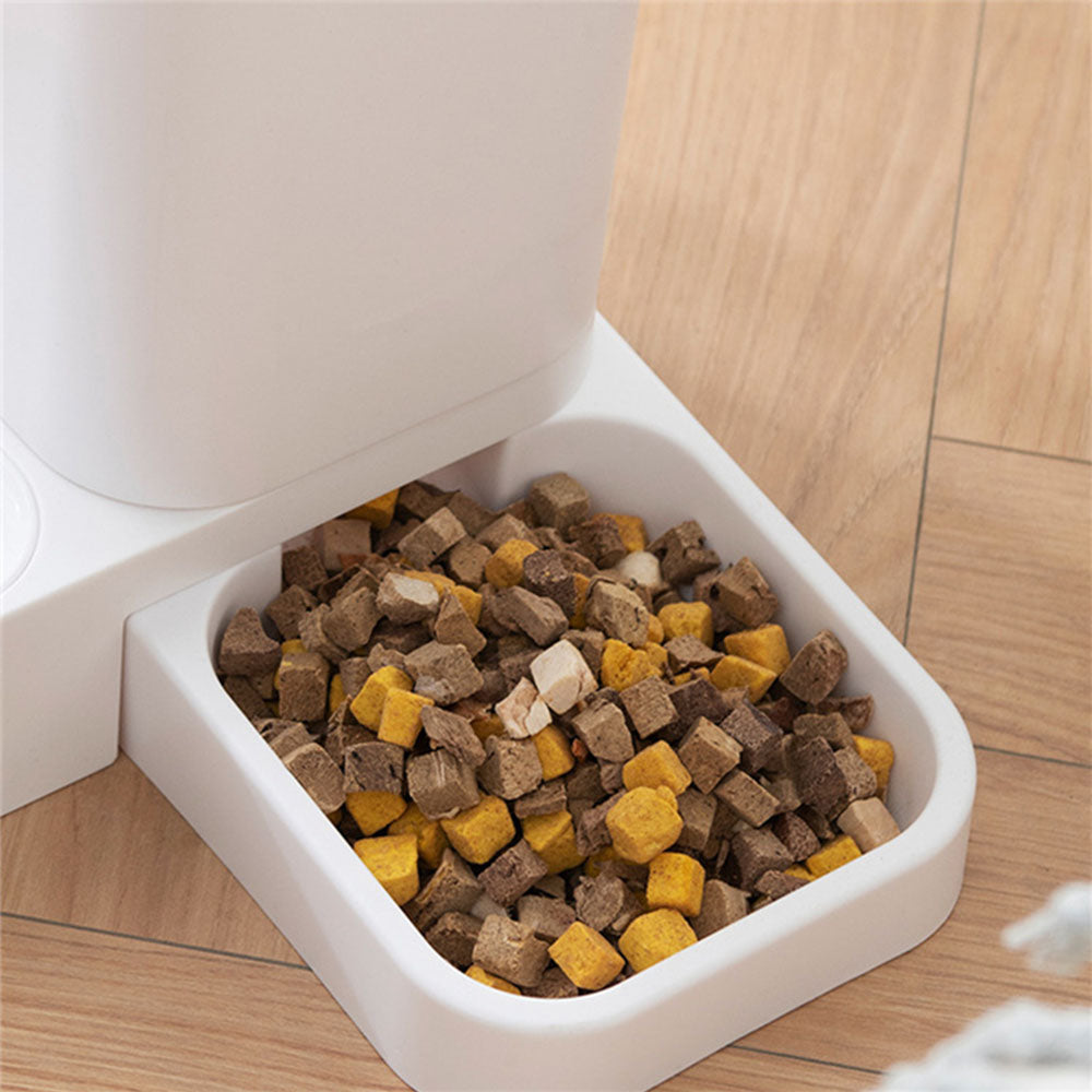 Cat Automatic Feeder - Bazaare Mart